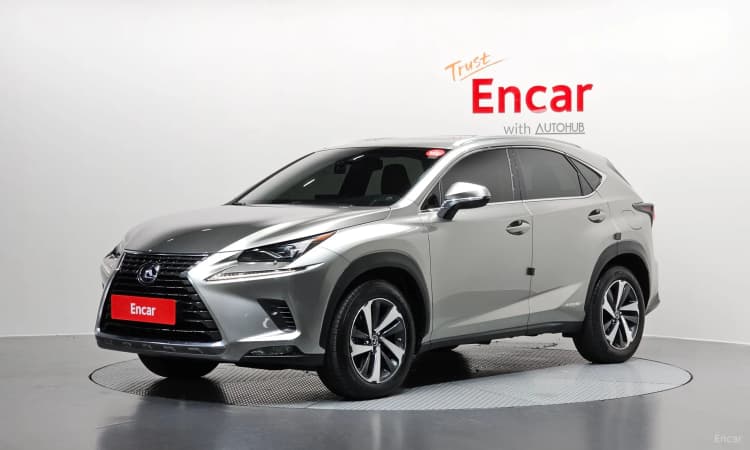 NX300h