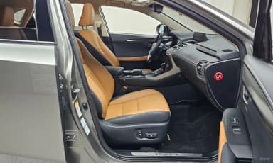 NX300h