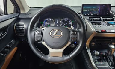 NX300h