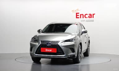 NX300h
