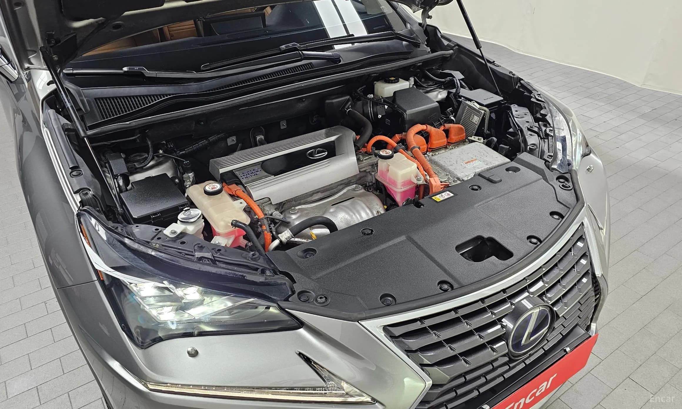 NX300h
