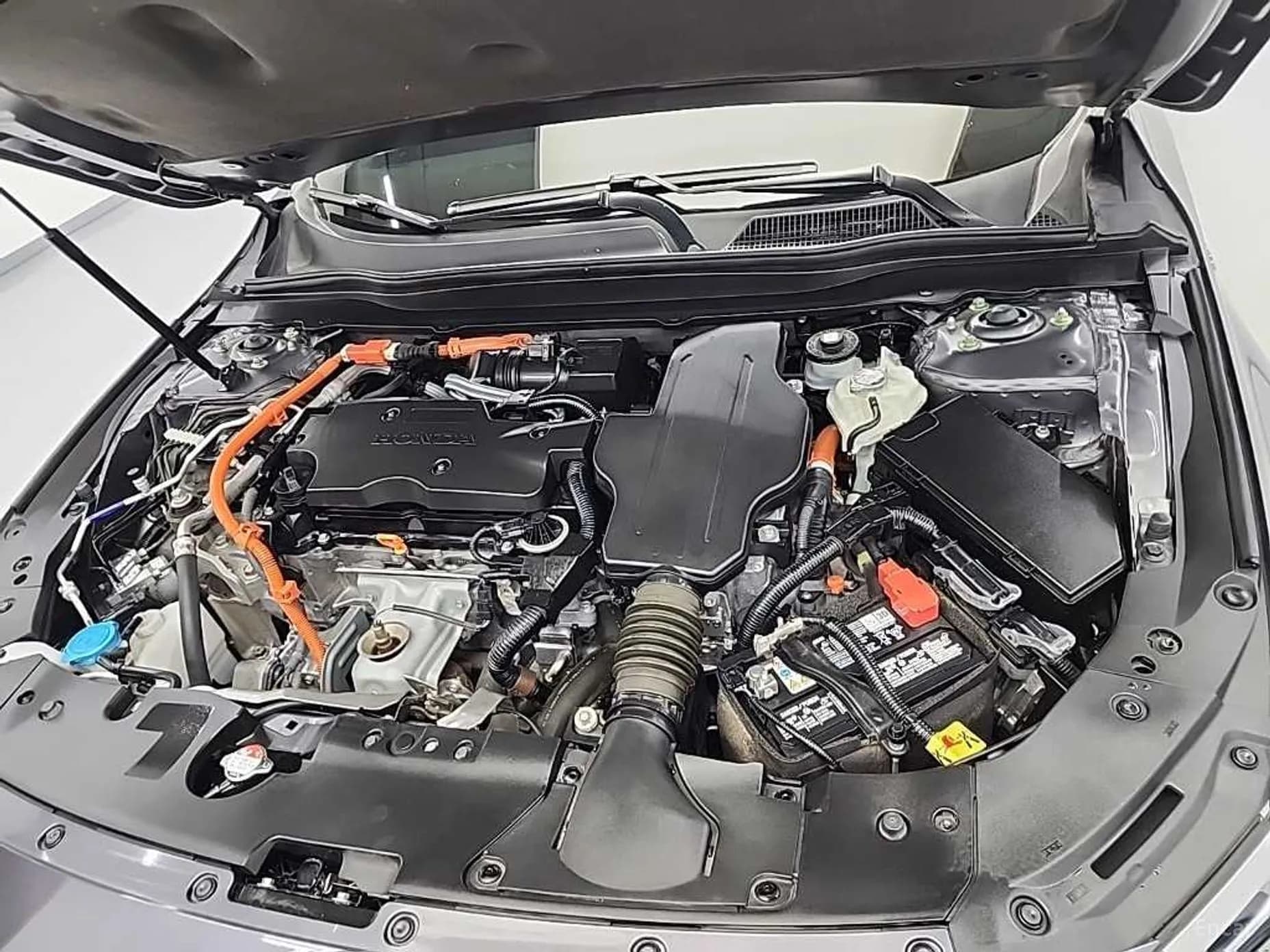 Accord 10th Generation