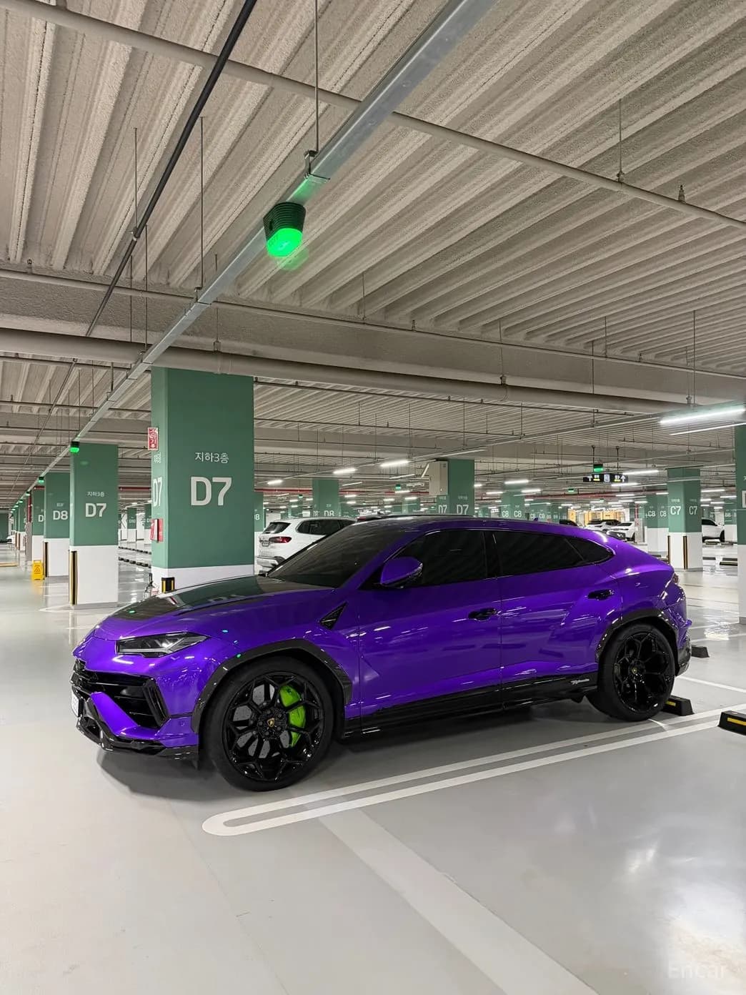 Urus