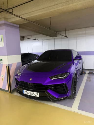 Urus