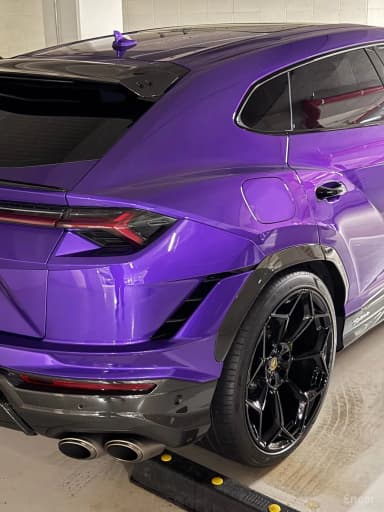 Urus