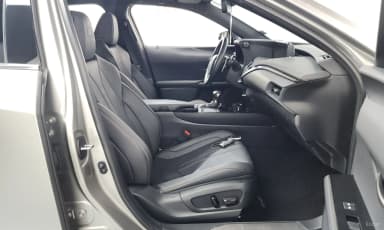 UX250h