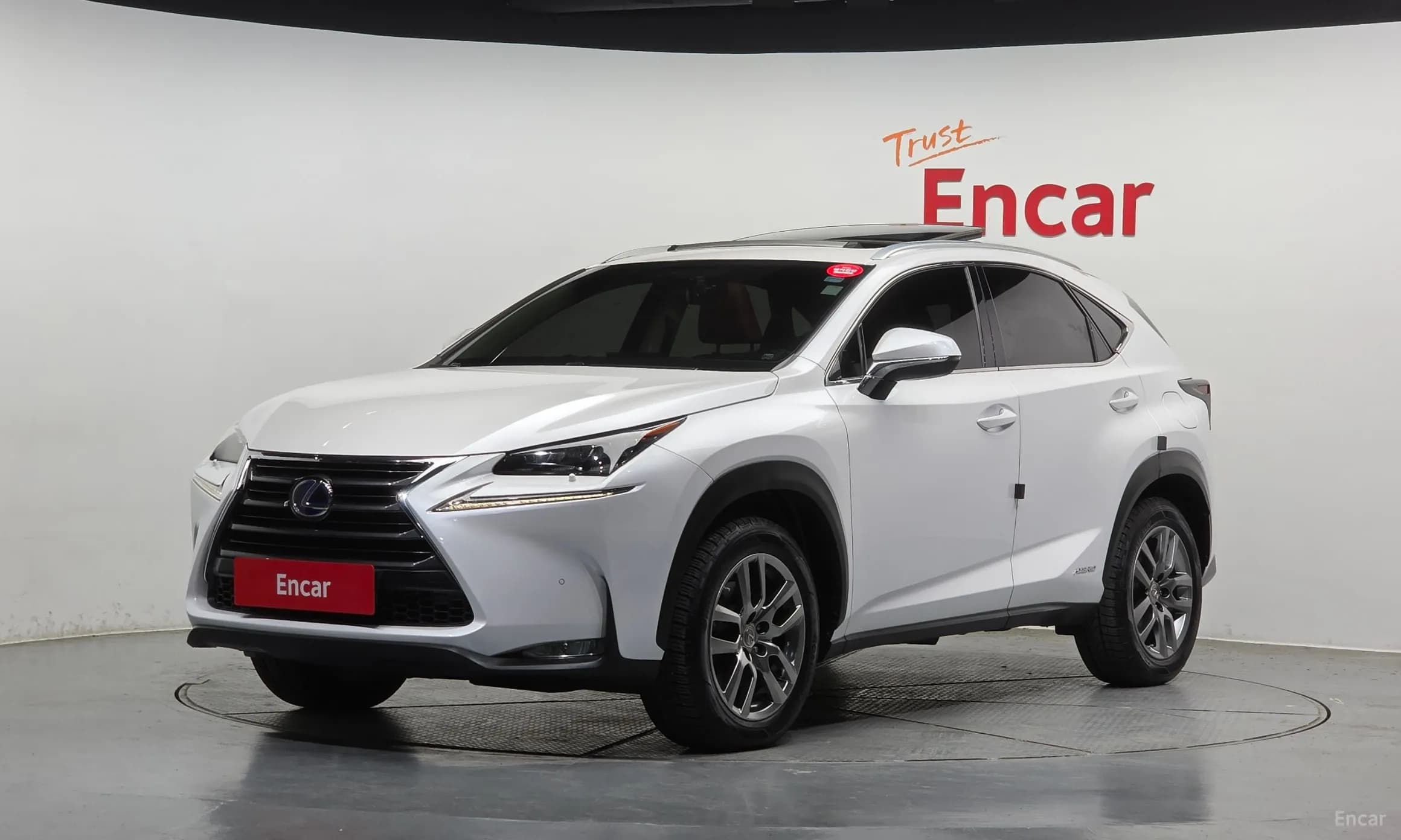 NX300h
