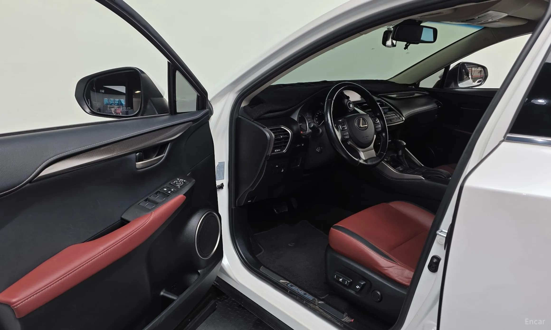 NX300h