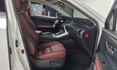 NX300h