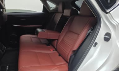 NX300h