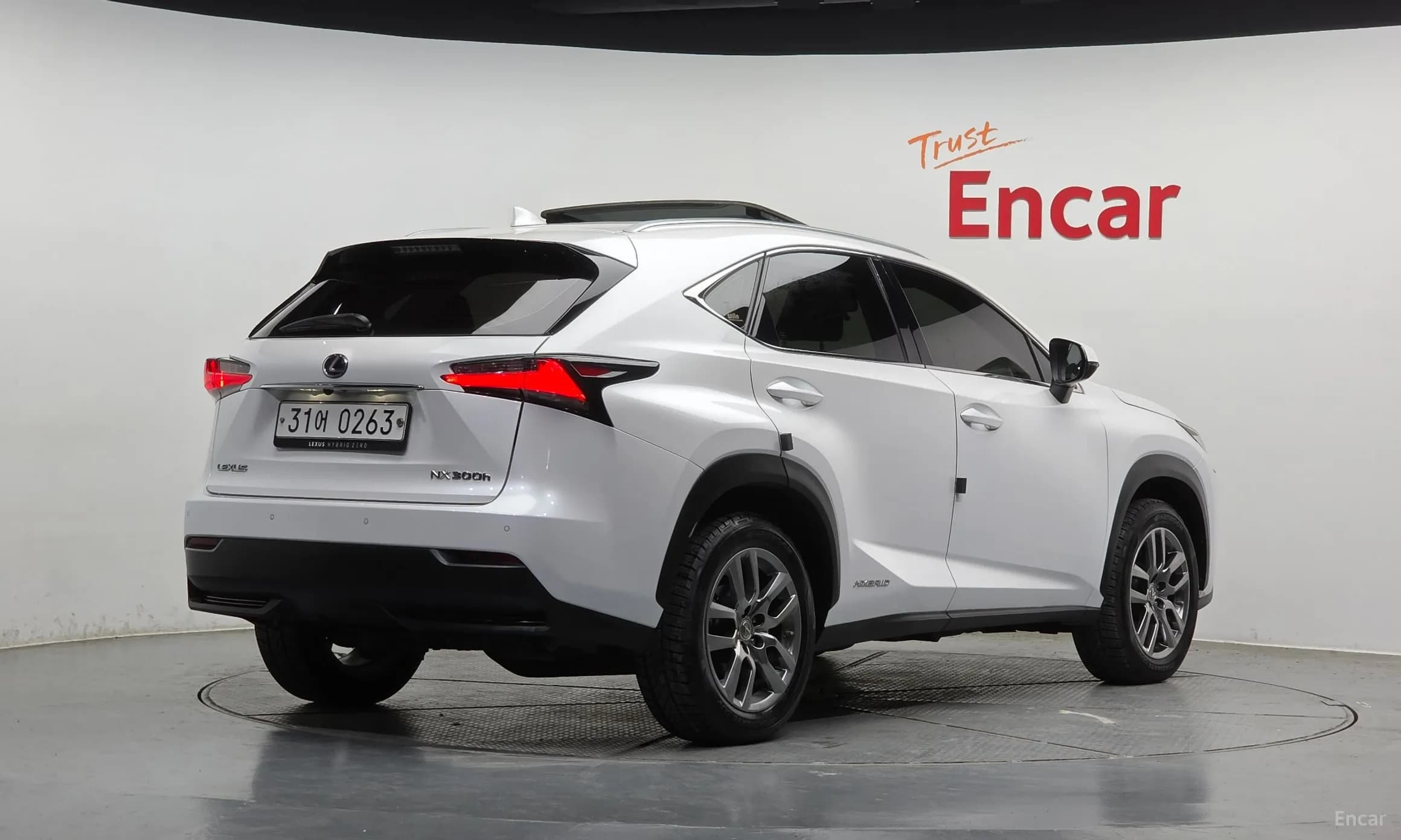 NX300h