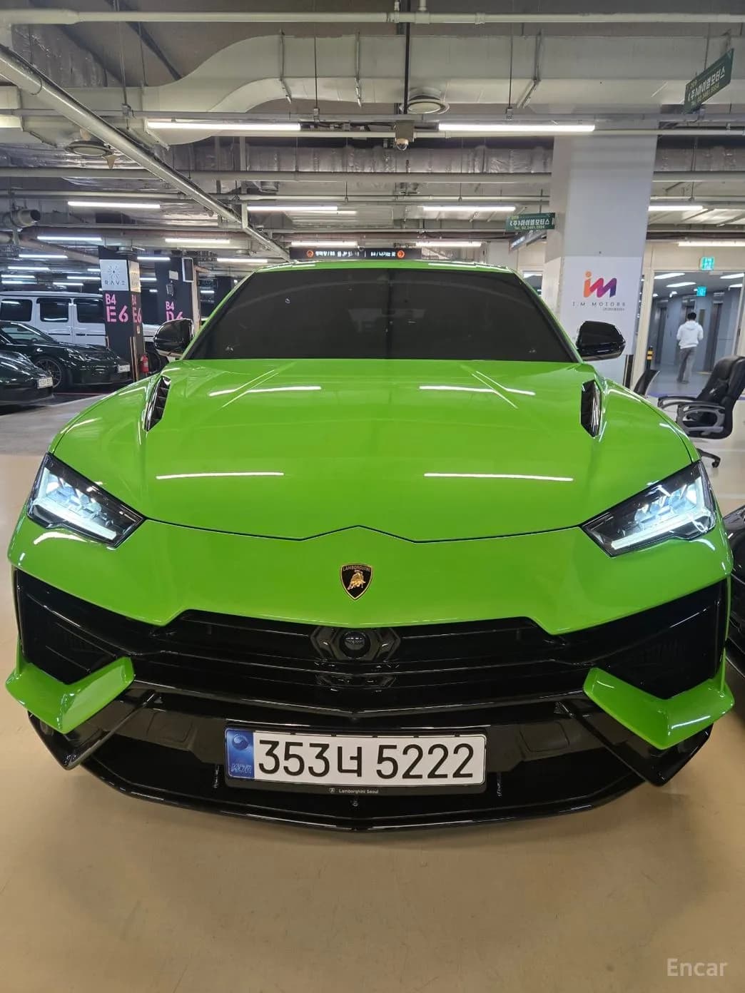 Urus