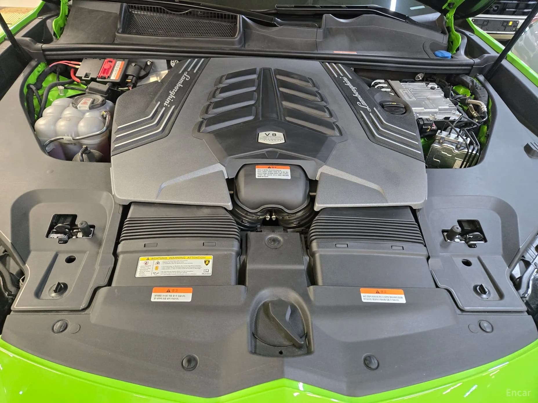 Urus