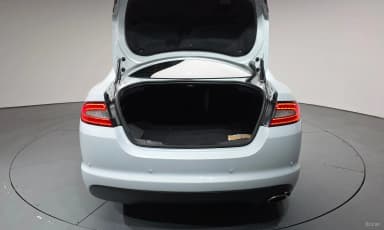 New XF