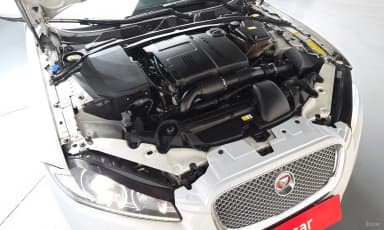 New XF