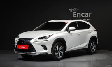 NX300h