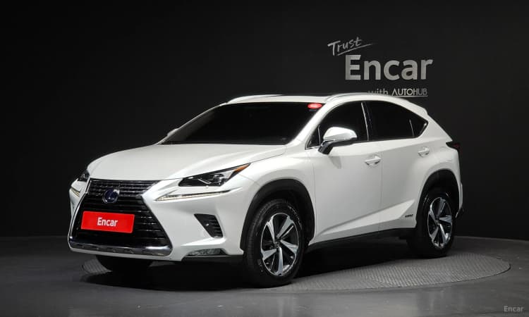 NX300h