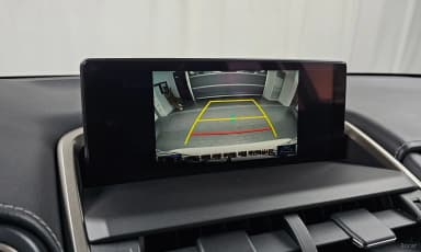 NX300h