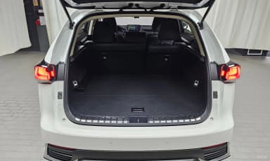 NX300h