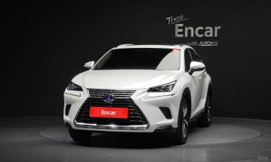 NX300h