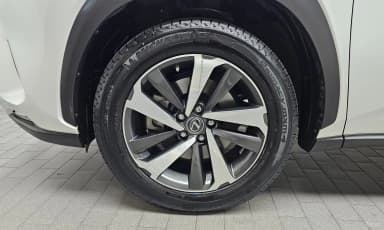 NX300h