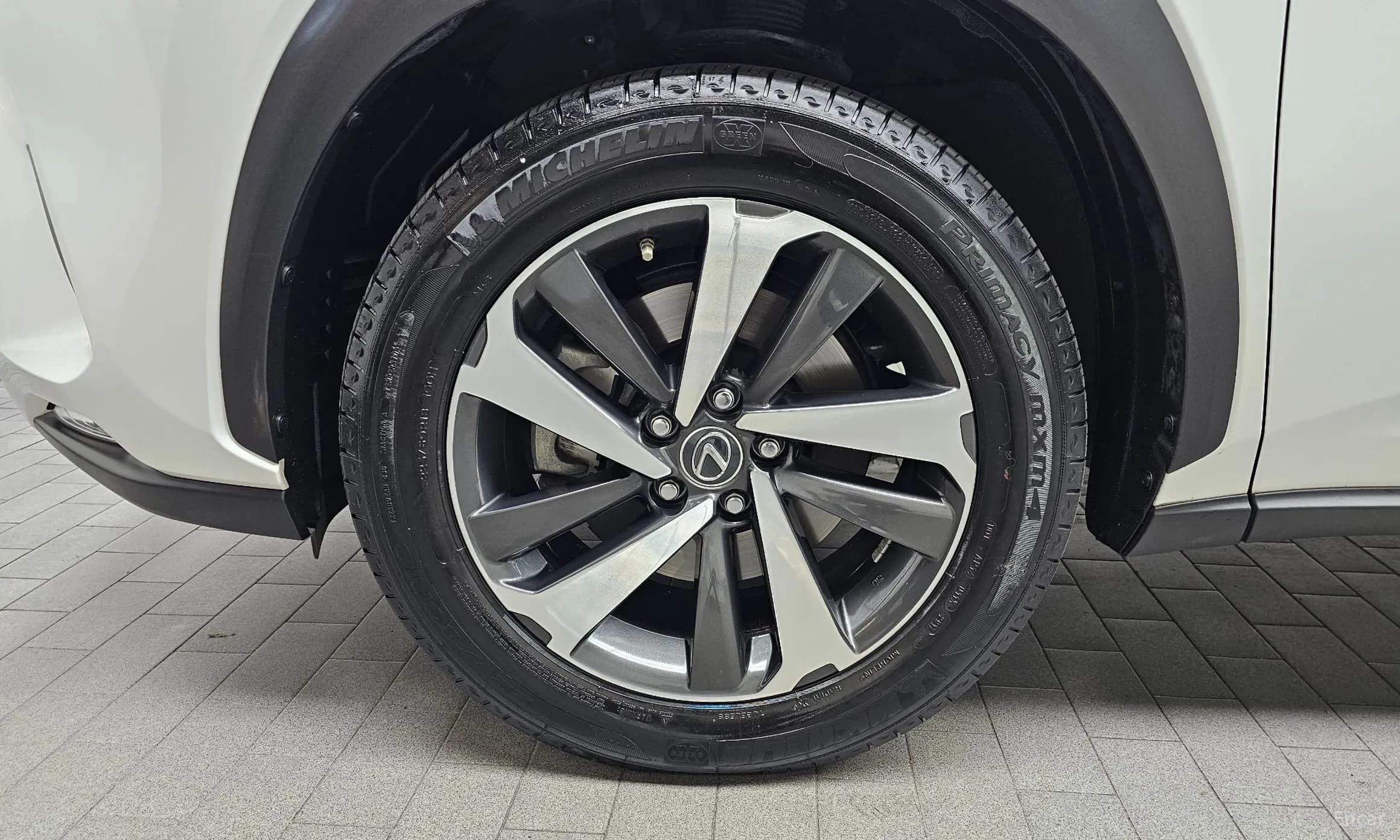 NX300h