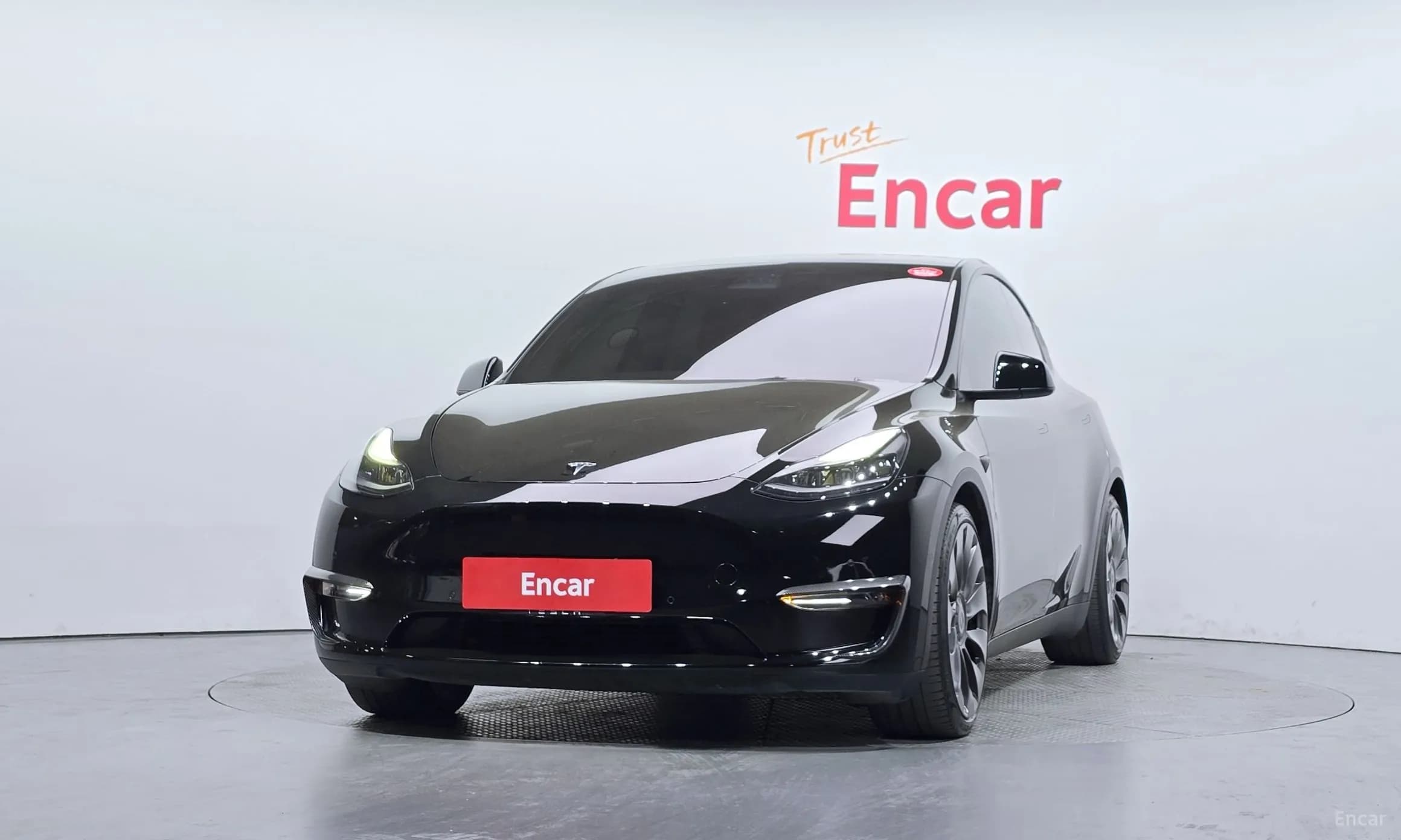Model Y