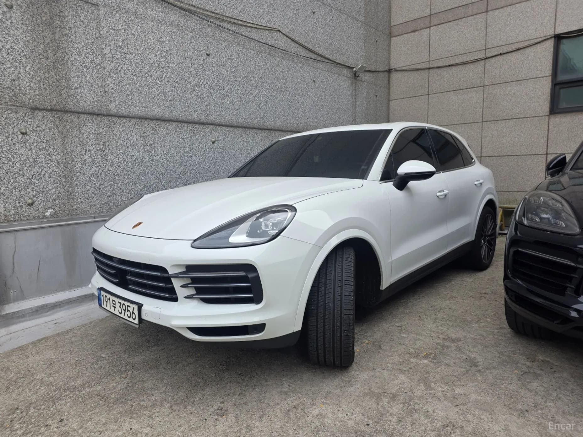 Cayenne (PO536)