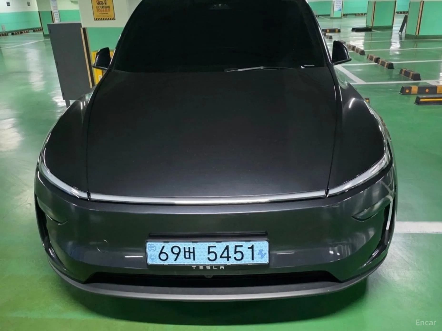 Model Y