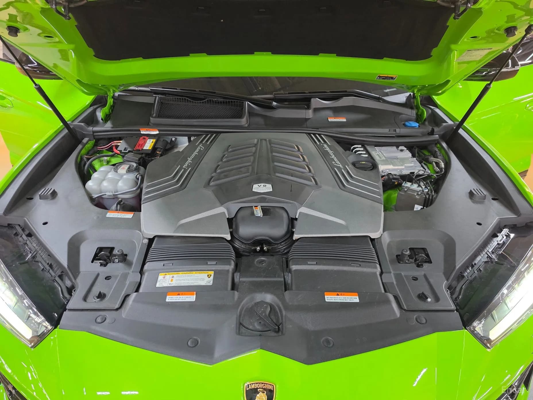 Urus