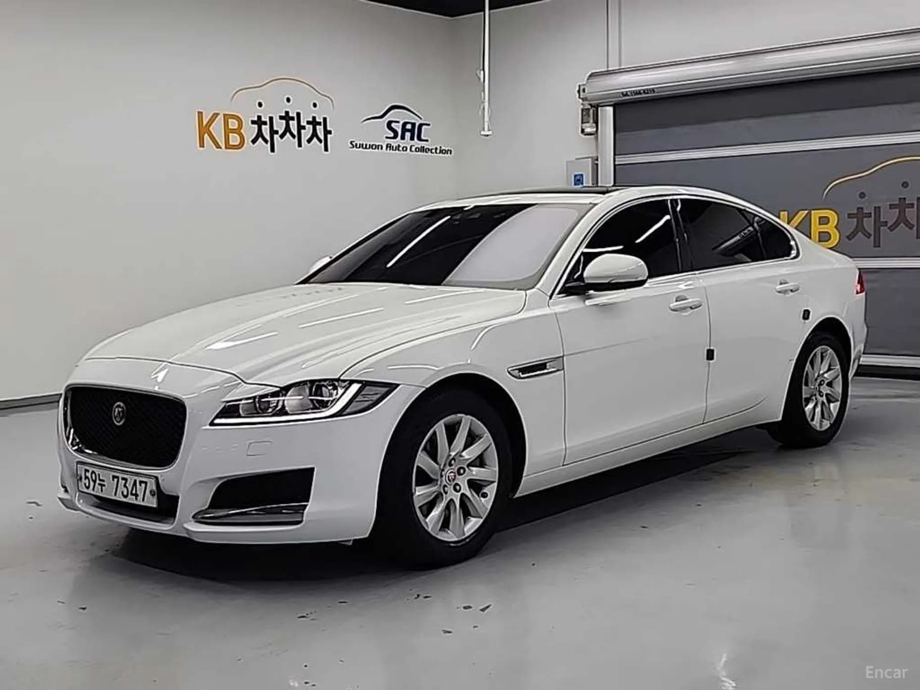 XF (x260)