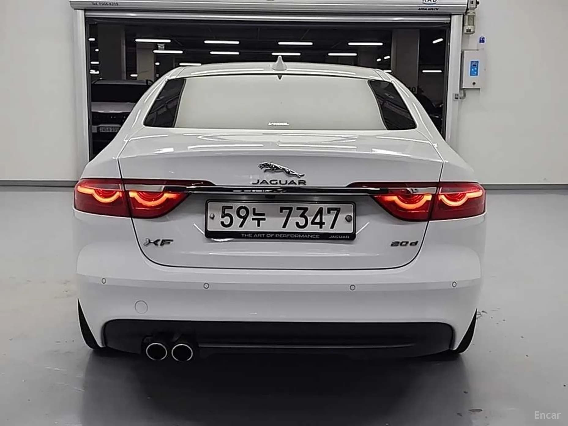 XF (x260)