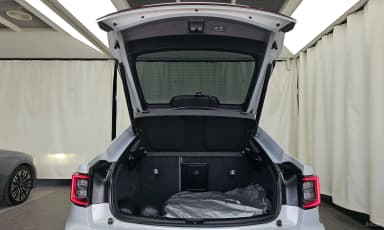 Pollstar 2