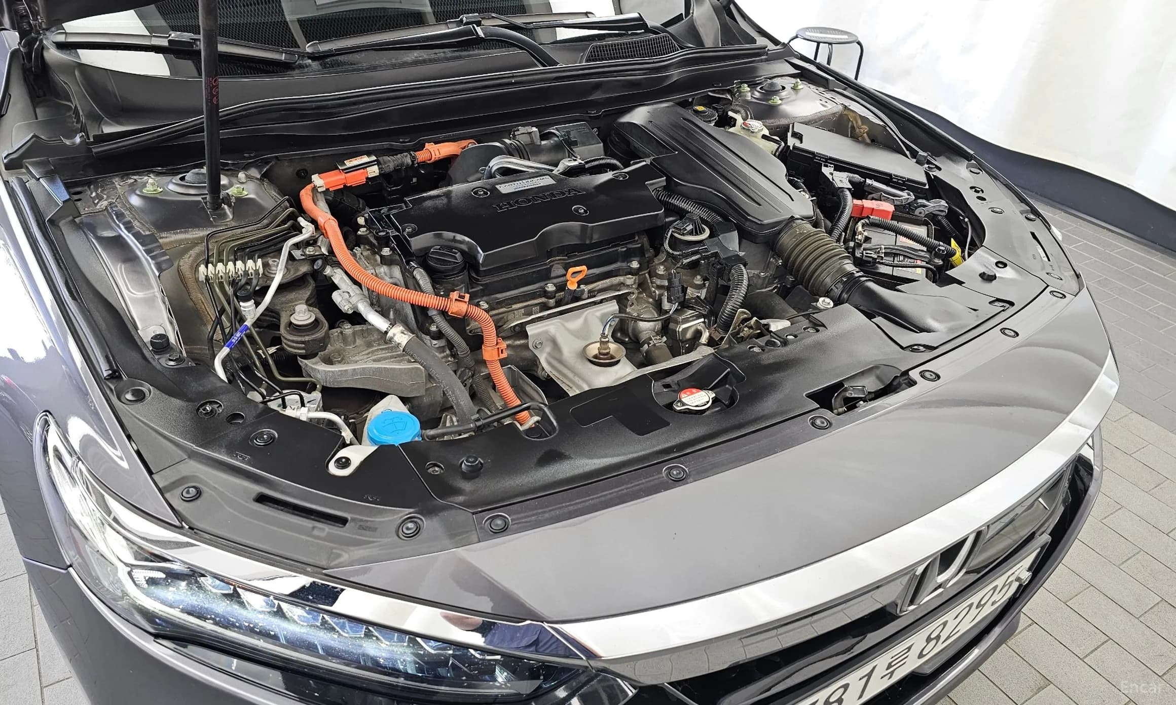 Accord 10th Generation