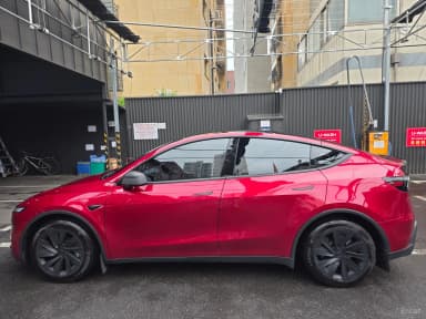 Model Y