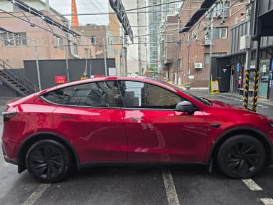 Model Y