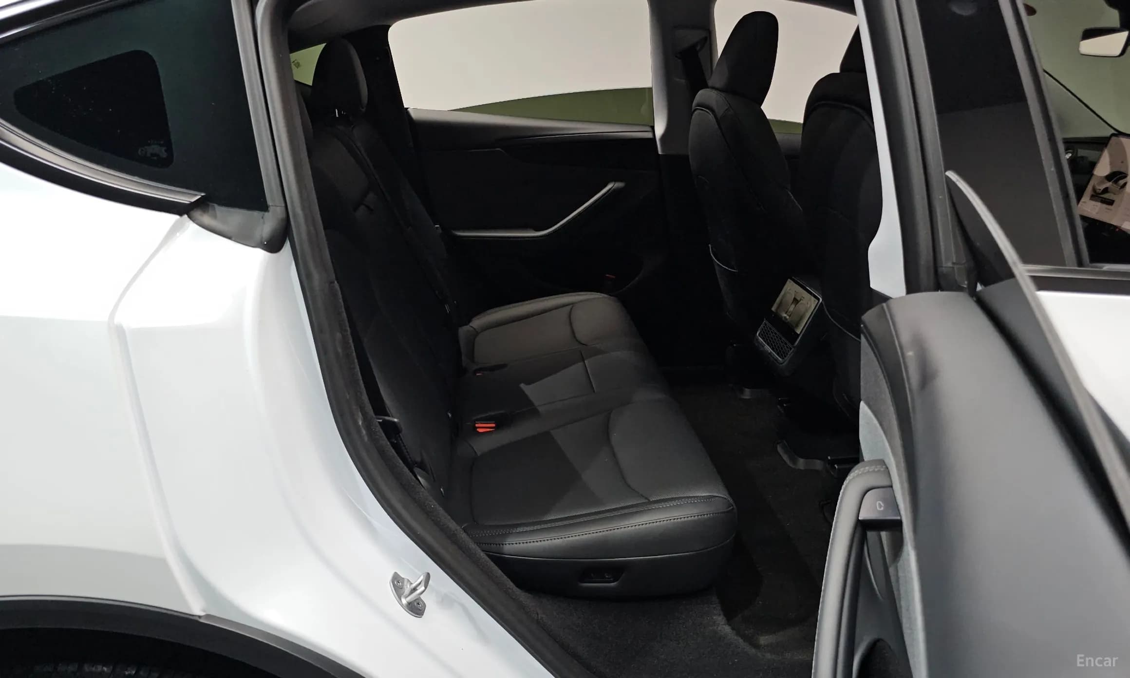 Model Y