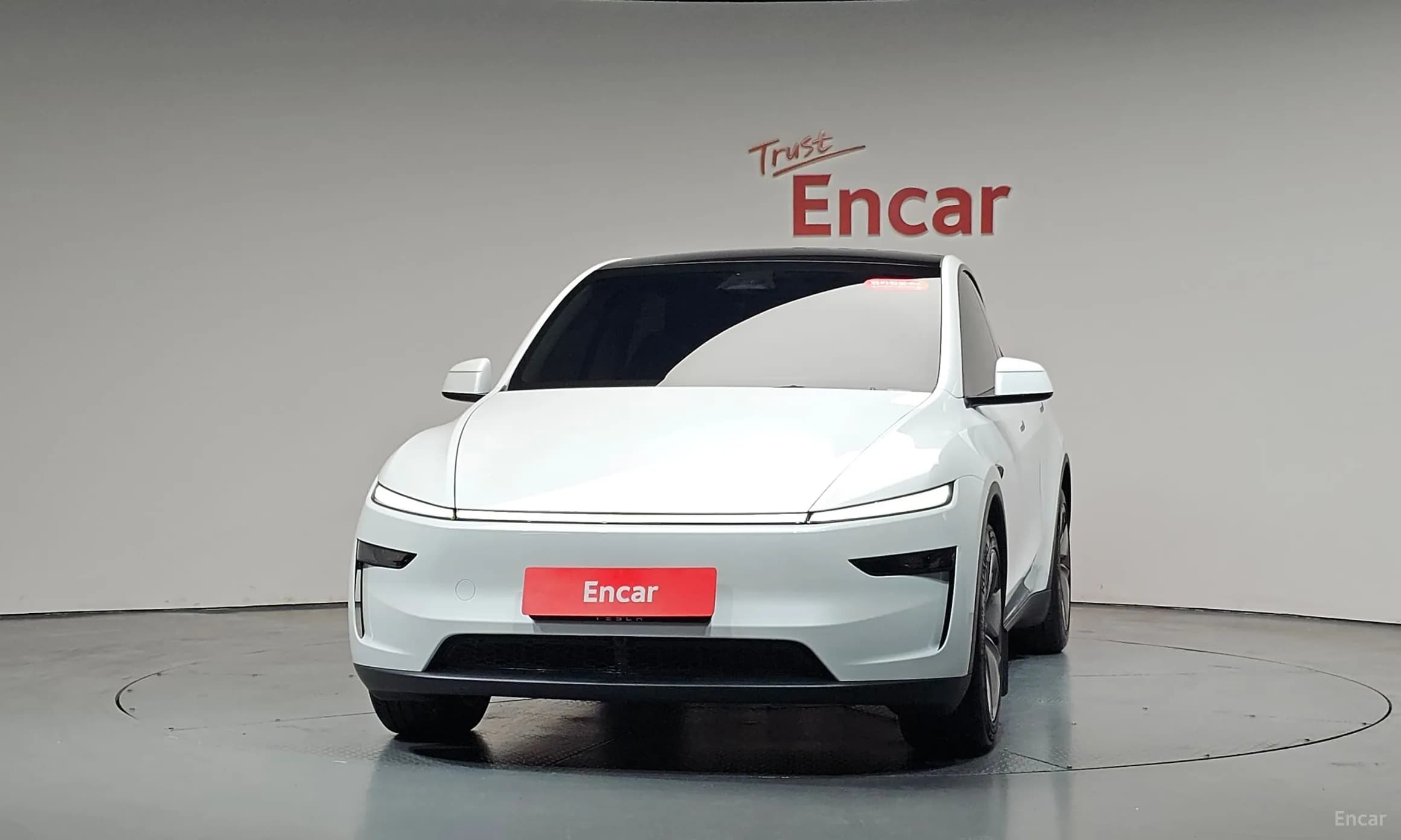 Model Y