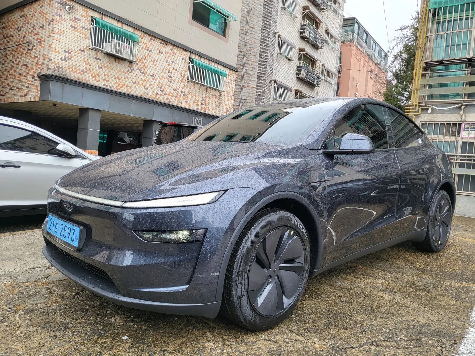 Model Y