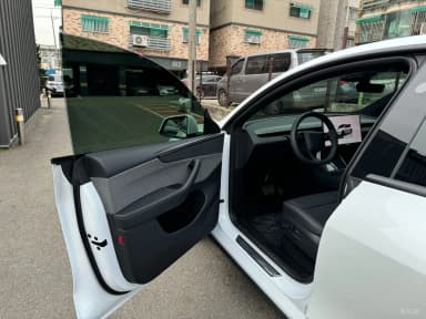 Model Y