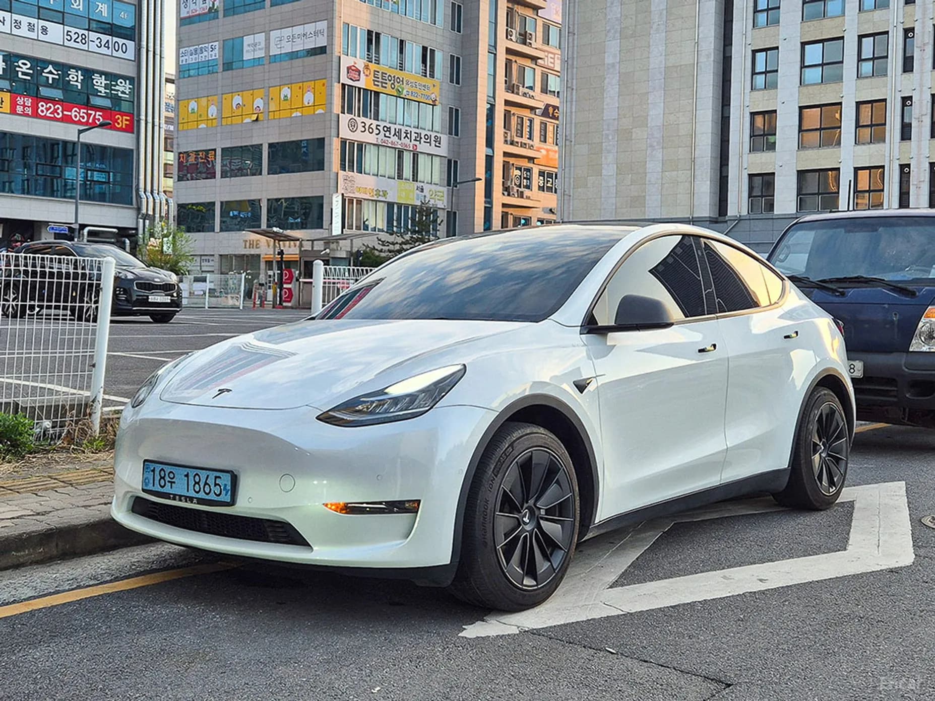 Model Y