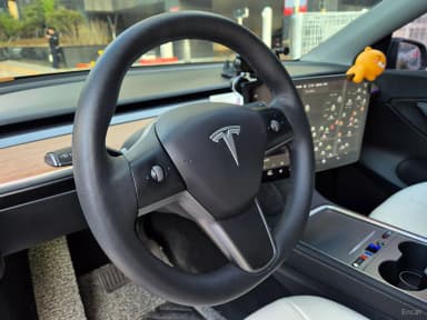 Model Y