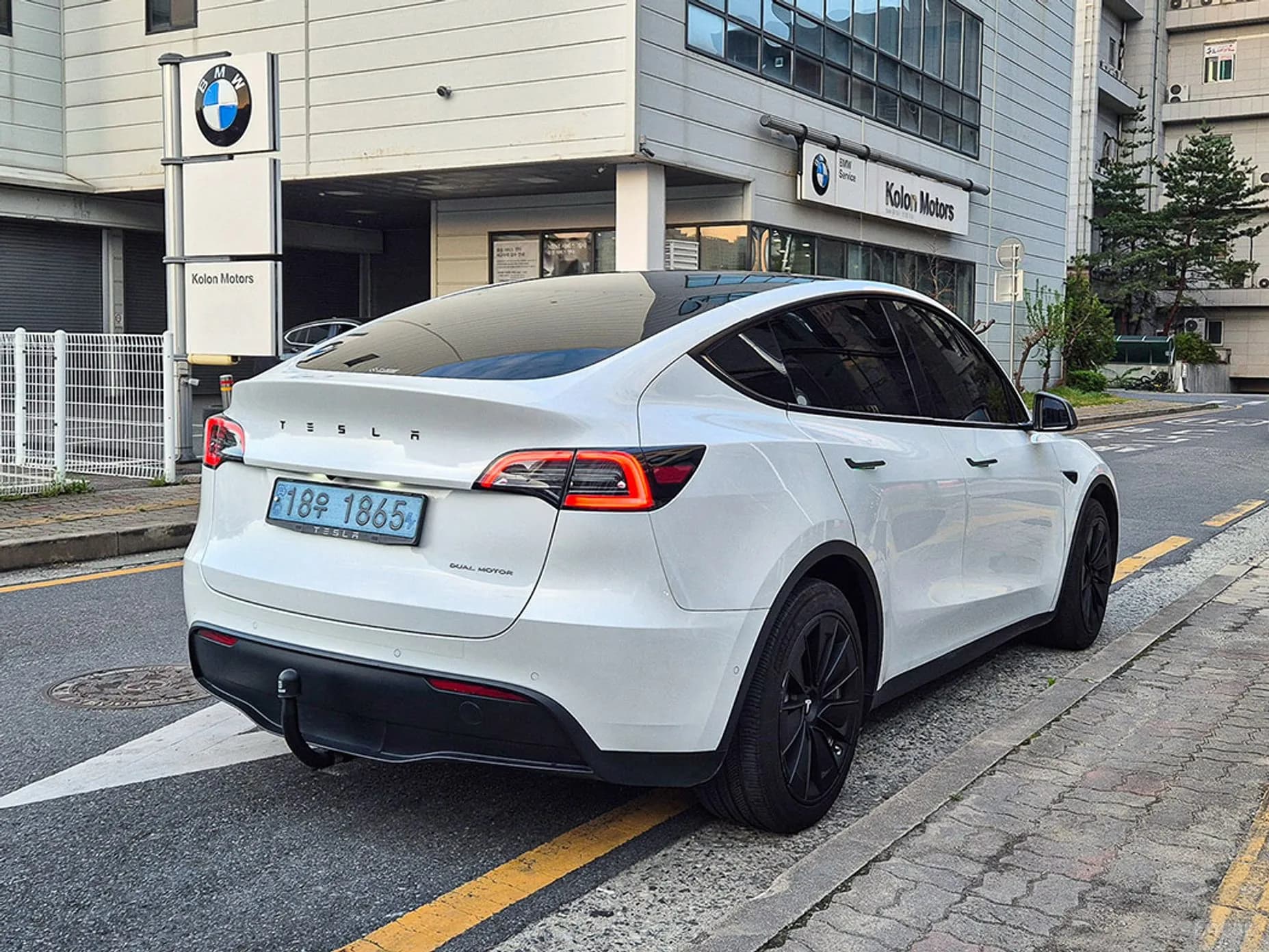 Model Y