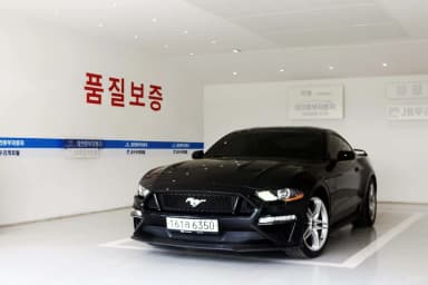 Mustang