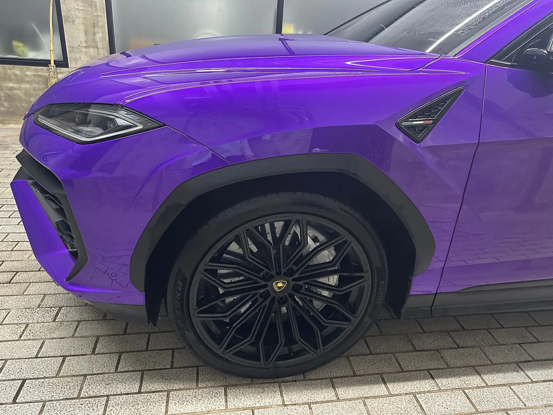Urus