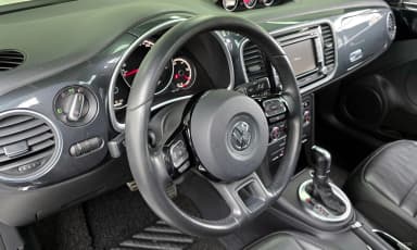 The Beetle