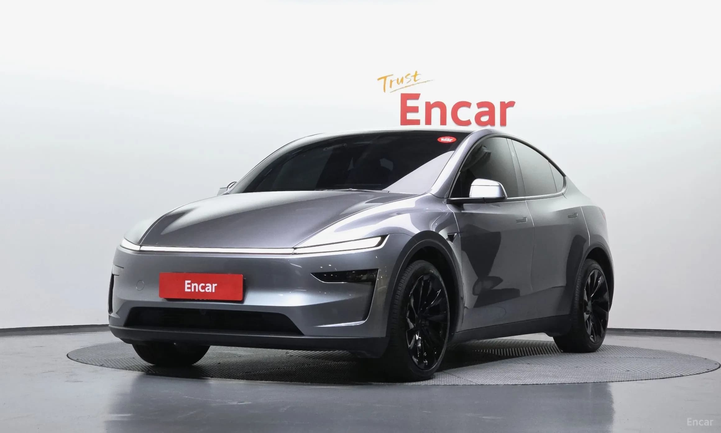 Model Y