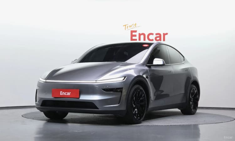 Model Y