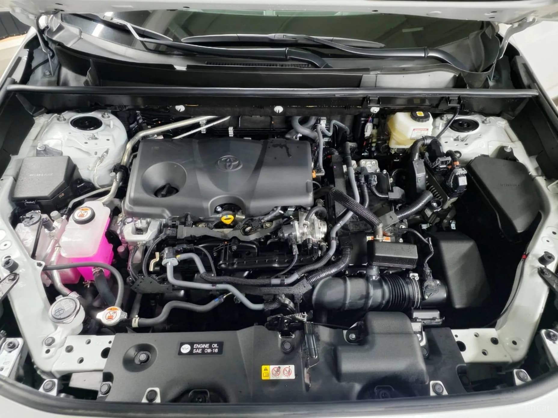 RAV4 5th Generation