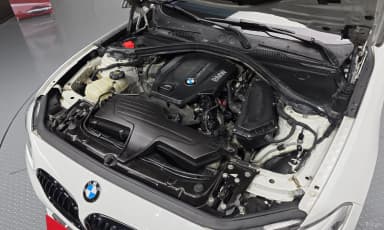 1 Series (F20)